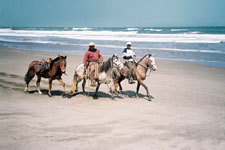 Peru-Coast-Ancient Coastal Peru on Pasos